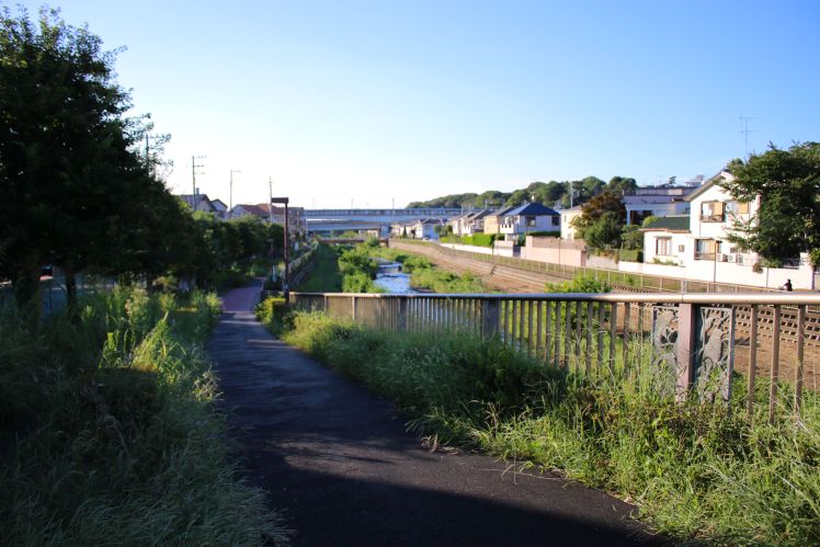 野川